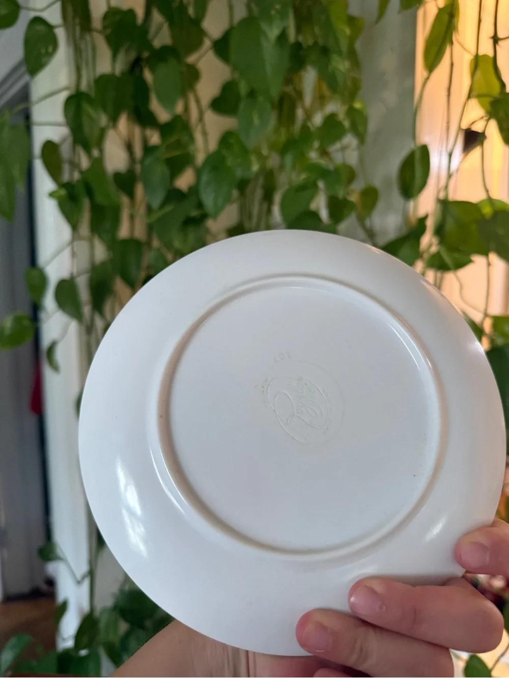Floral Porcelain Dessert Plate - White with Purple Flowers Royalon Inc 307